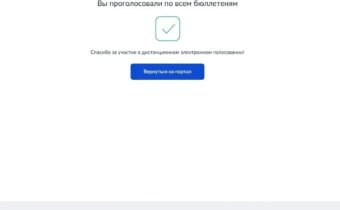 Сотрудники НМЭС принимают участие в голосовании